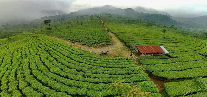 Tiga Belas Rekomendasi Wisata Jawa Tengah