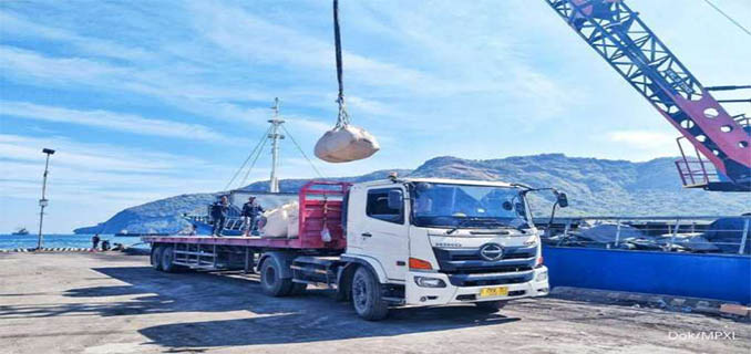 MPX Logistics (MPXL) Diversifikasi Bisnis di Tahun Depan